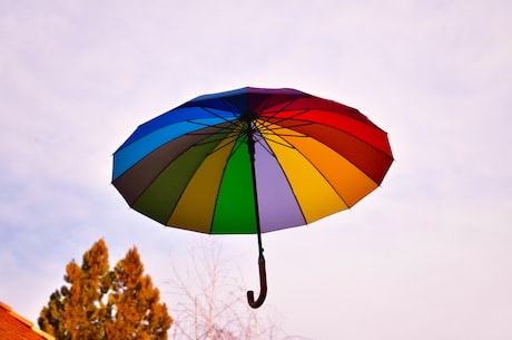 伞学院：解读雨伞的历史、制作与保养